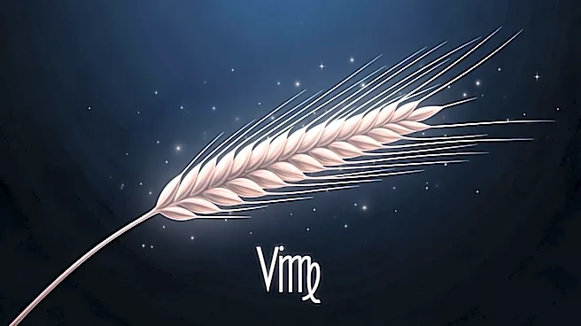 The Broader Meaning of Virgo in Society
