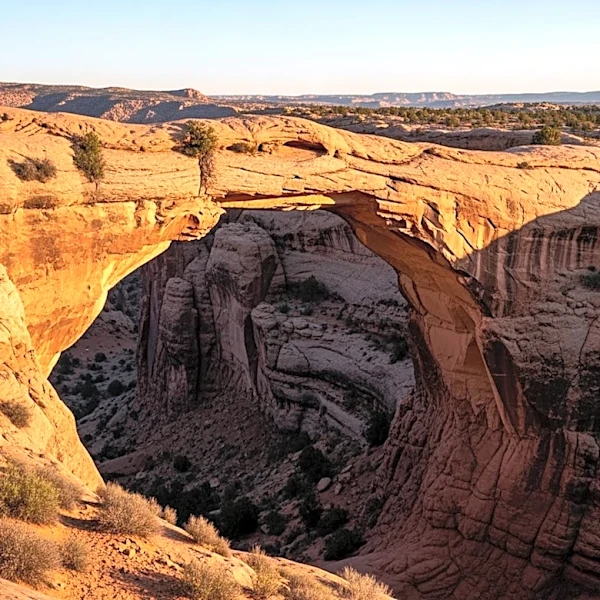 How Roosevelt Helped Preserve Natural Bridges in 1908