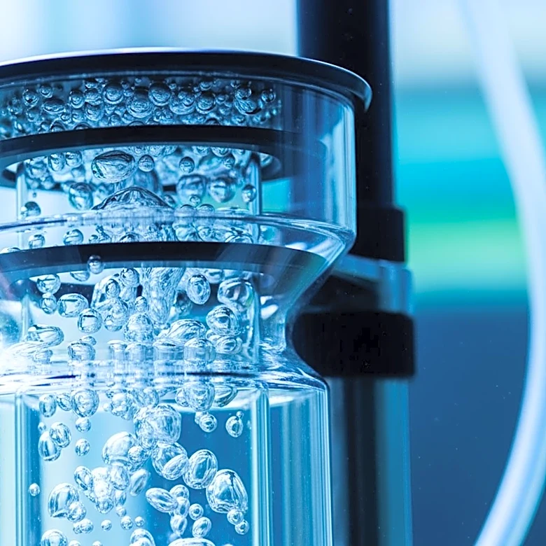 From Aquariums to Water Treatment: Skimmers at Work