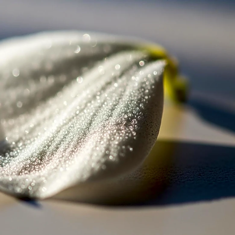 How Salicylate Sensitivity Affects the Body