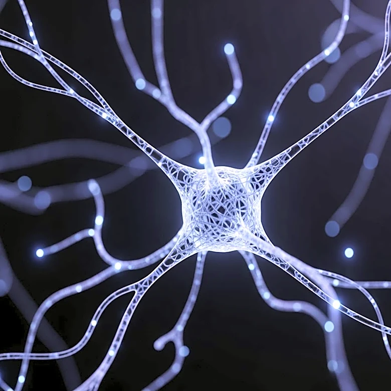 How Habituation Impacts Mental Health Conditions