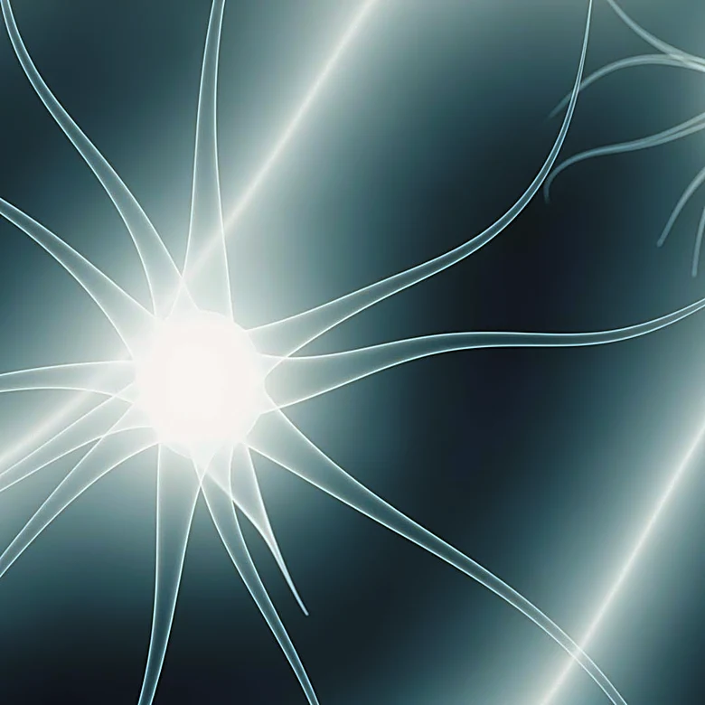 Why Habituation Matters in Understanding Babies