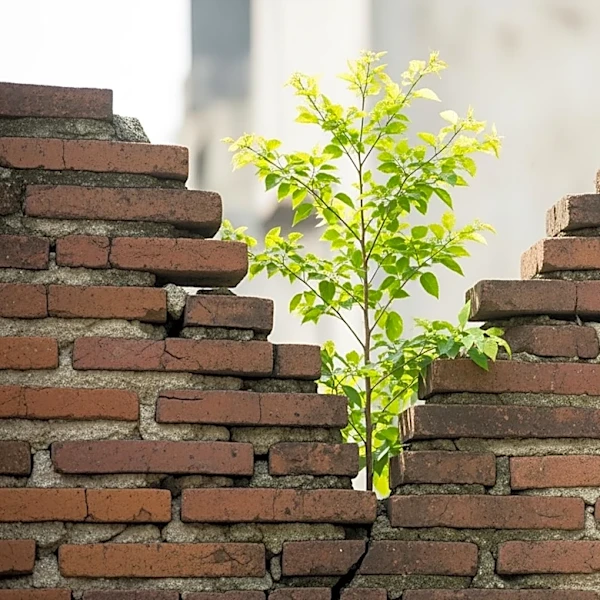 Inside the Story of A Tree Grows in Brooklyn