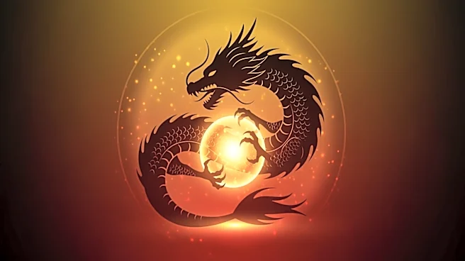 Why Hospital Resources Strain During the Auspicious Year of the Dragon