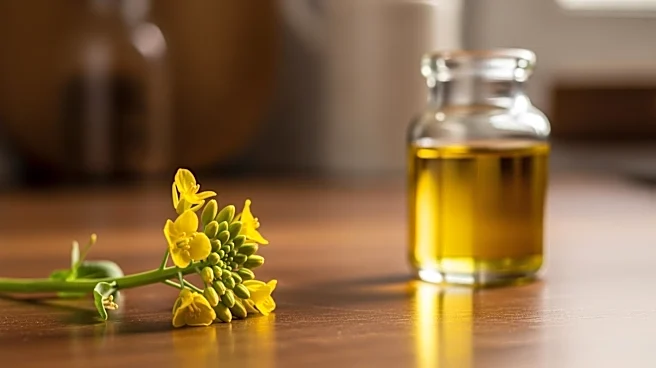 The Breakthrough That Made Canola Oil Safe to Use