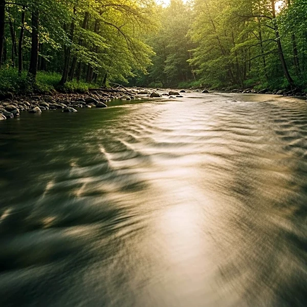 Stop Scrolling, Start Flowing: Why Active Mastery is the Secret to Mental Well-Being