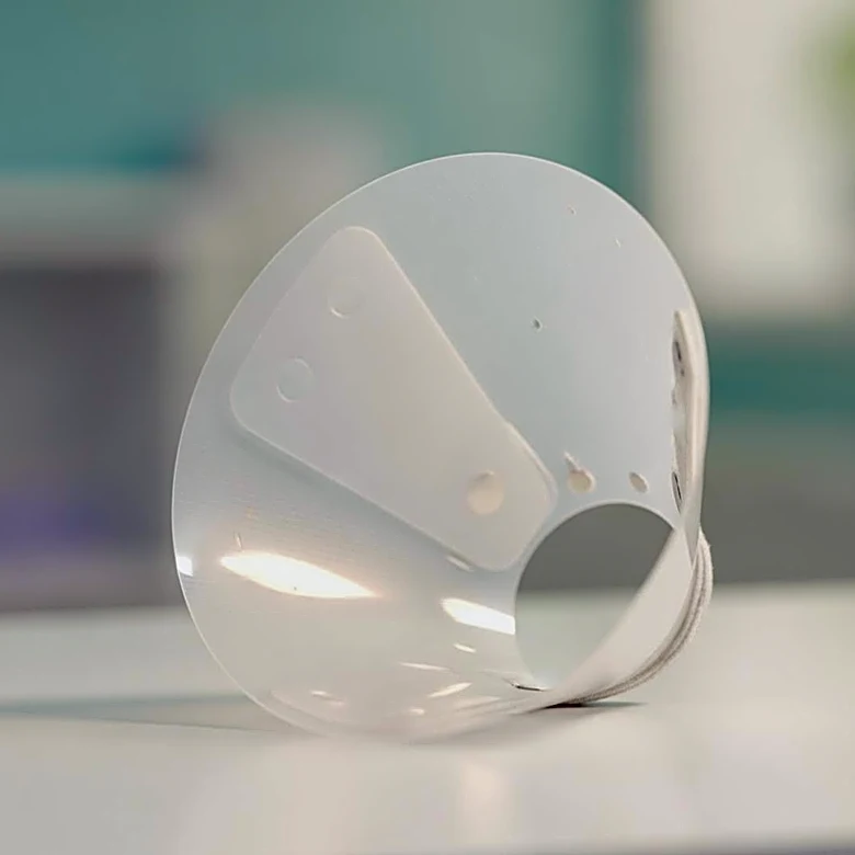 Why These Collars Are Used by Veterinarians