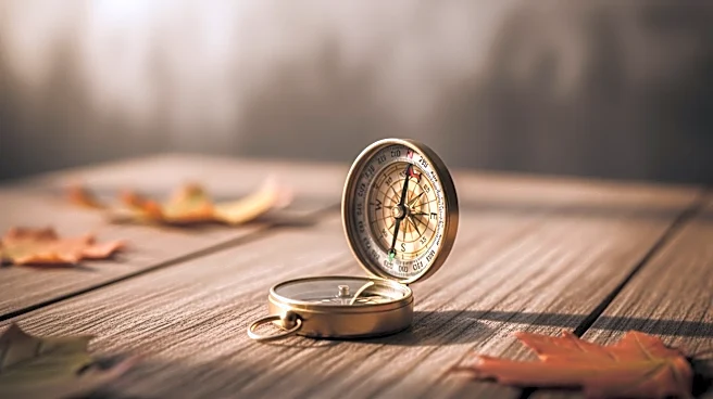 The Cultural Impact of Due South