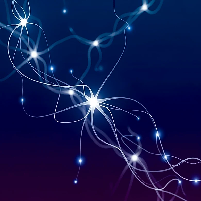 Why Mind-Wandering Says More About the Brain Than You Think