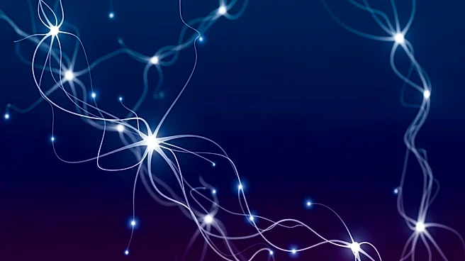 Why Mind-Wandering Says More About the Brain Than You Think