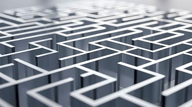 What Rats, Dogs, and Bees Reveal About Emotion