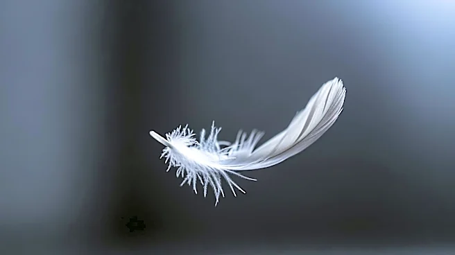 How Fear Shapes Decisions Before You Even Realize It