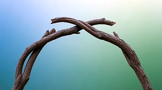 Why Social Ties Became a Clinical Priority