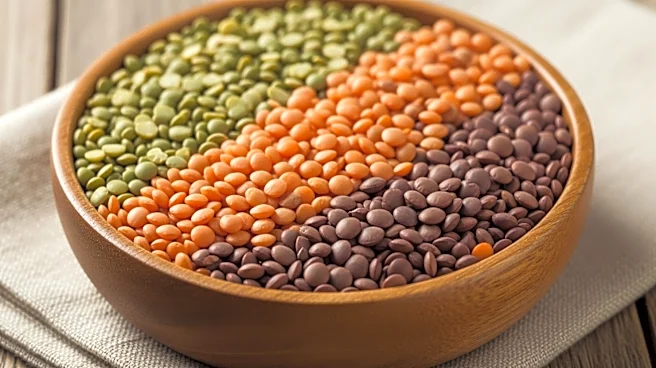 How Lentils Became a Staple Across World Cuisines