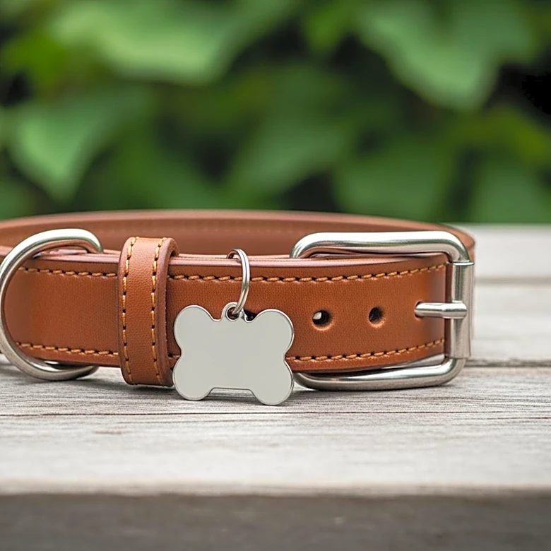 Why Every Dog Needs a Proper Collar