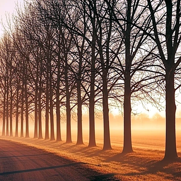 April 30, 1789: The First Presidential Inauguration