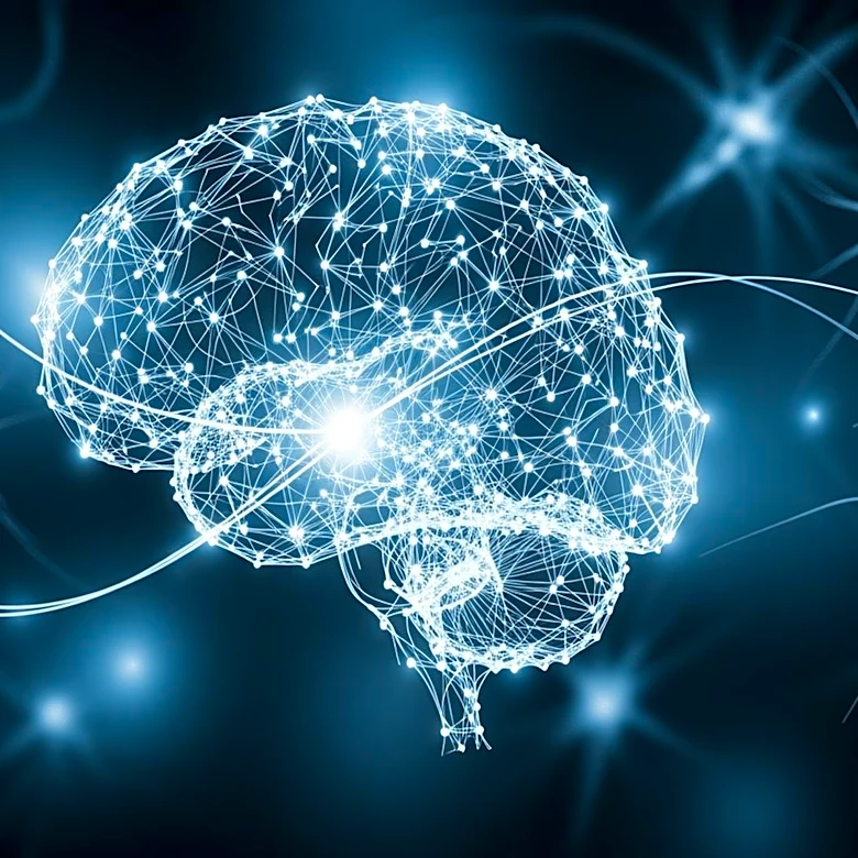 What the LAD Says About How Humans Learn to Speak