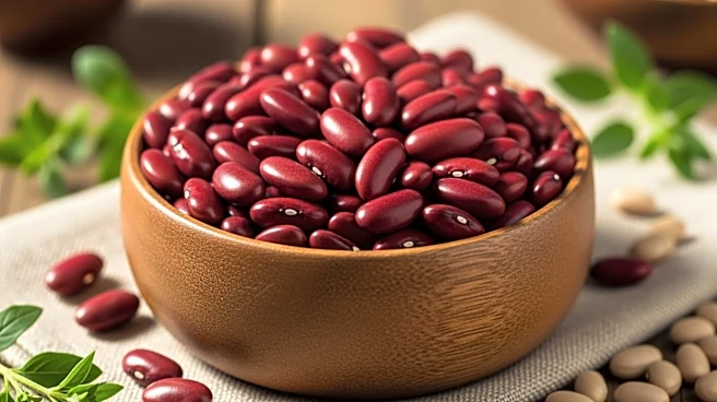 What Kidney Beans Offer Beyond Basic Protein