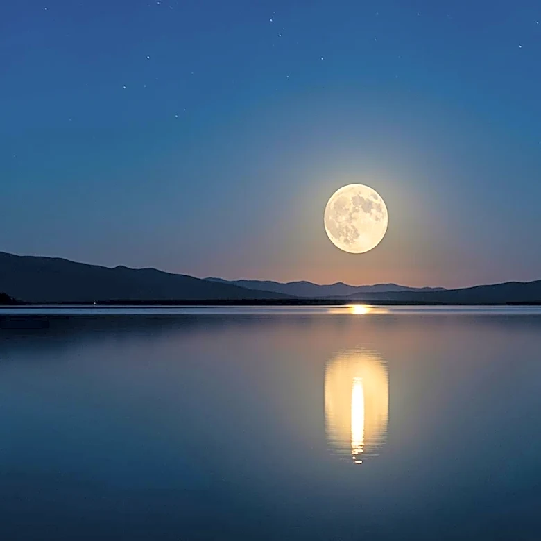 Why New Moon Captivated Twilight Readers Worldwide