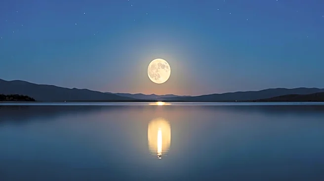 Why New Moon Captivated Twilight Readers Worldwide