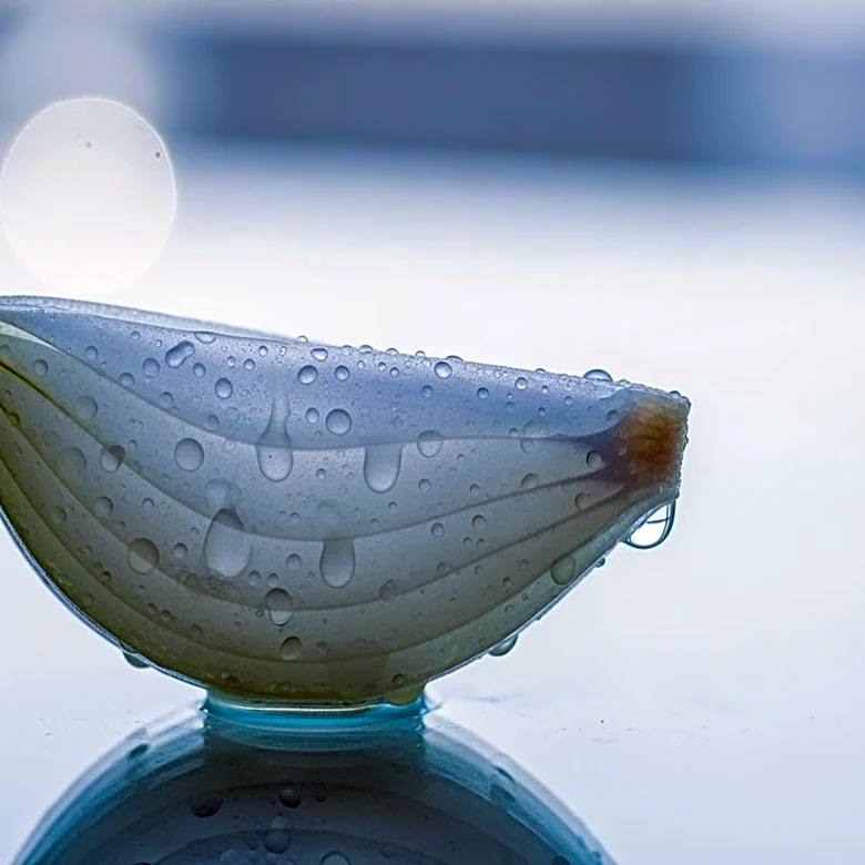 Why Onion Cells Release a Tear-Making Chemical