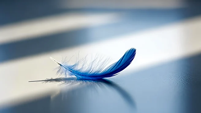 Why Coping With Sadness Starts With Acceptance
