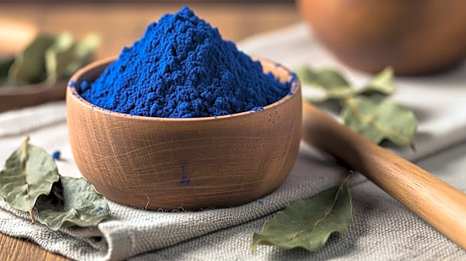 How Indigo Became the World’s Most Famous Blue