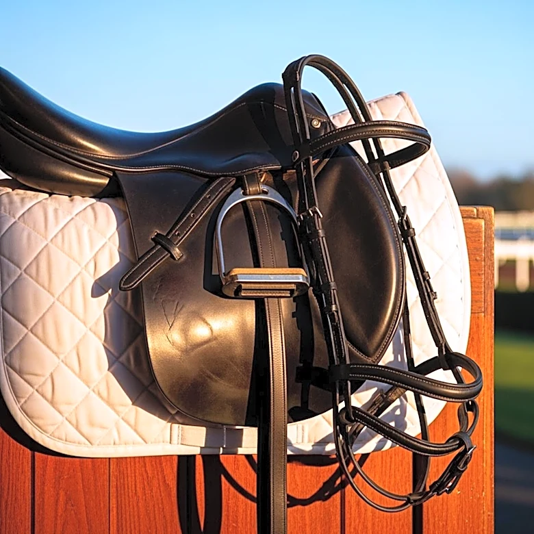 Funny Cide Made New York-Bred Racing History in 2003