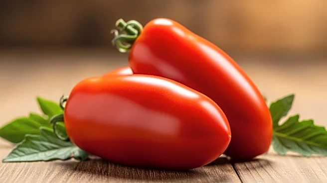 How San Marzano Tomatoes Earned Their Reputation