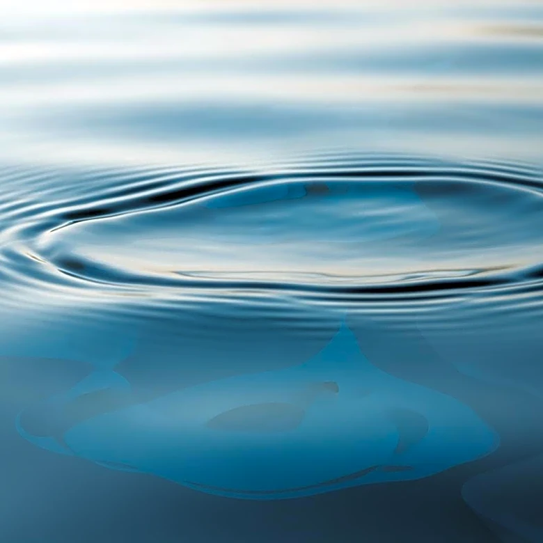 How the Mammalian Diving Reflex Works in Infants