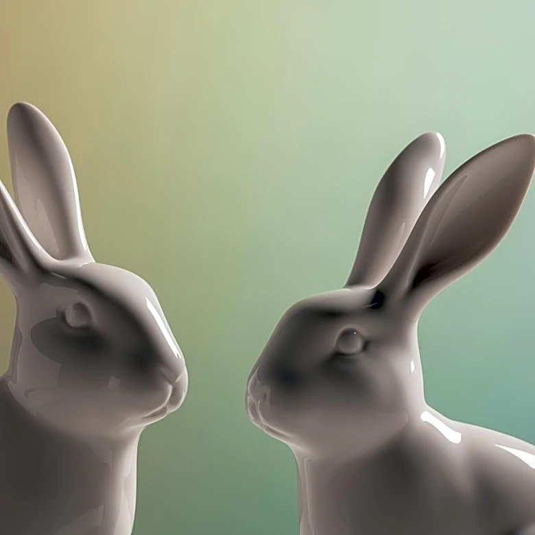 Why the Netherland Dwarf Became the World’s Most Popular Pet Rabbit