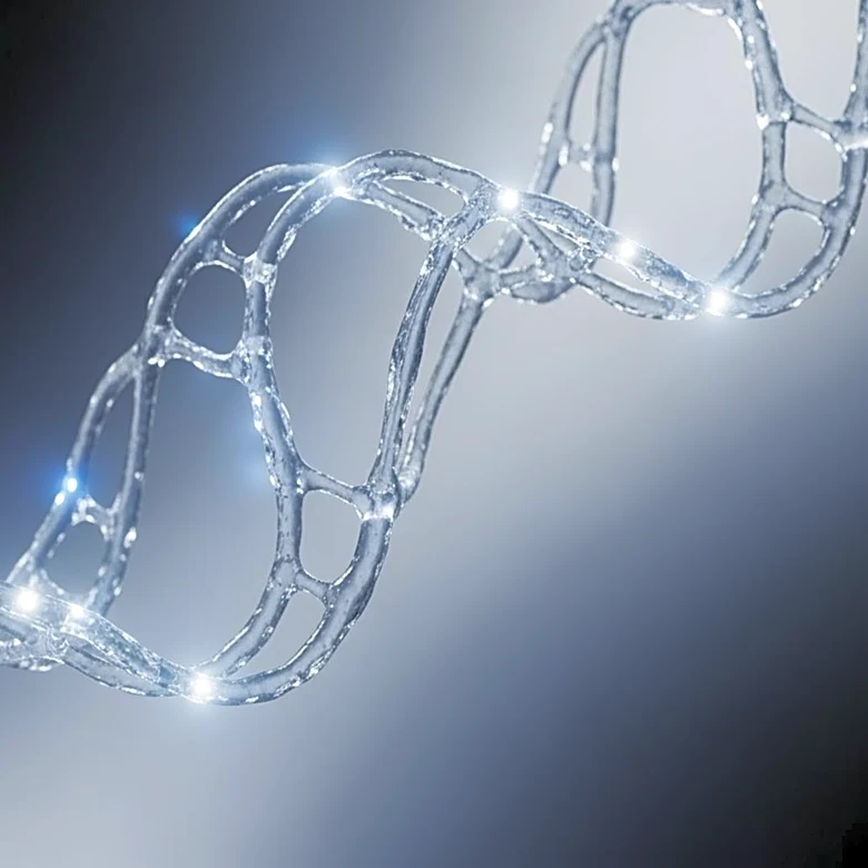 The Synthetic Peptides Built to Find Unfolded Collagen