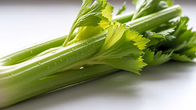 The Strings in Celery Reveal Its Hidden Structure