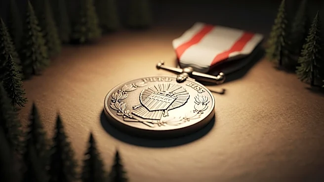 Inside the Medal of Honor Stories From the Wilderness