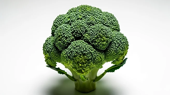 Why Steaming Broccoli Helps Preserve Its Benefits