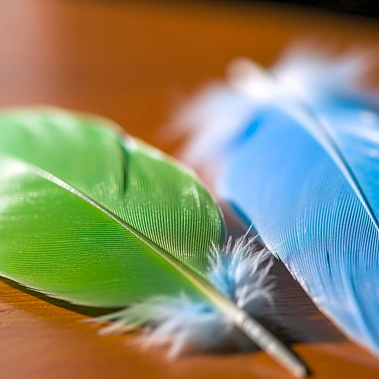 Budgie Colors Come From More Than Simple Breeding Luck