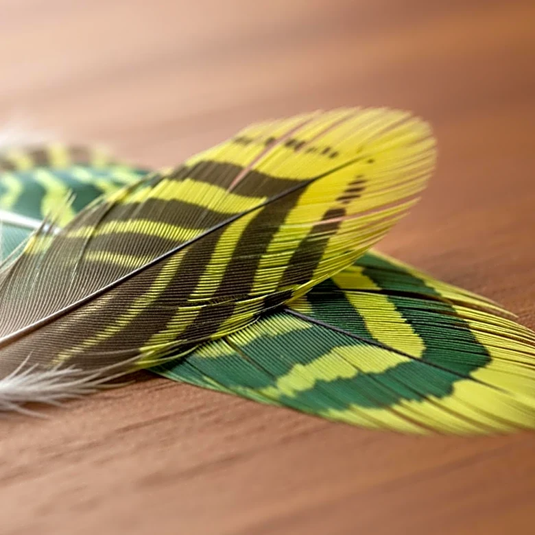 Budgerigars Are Small Birds With Complex Social Lives