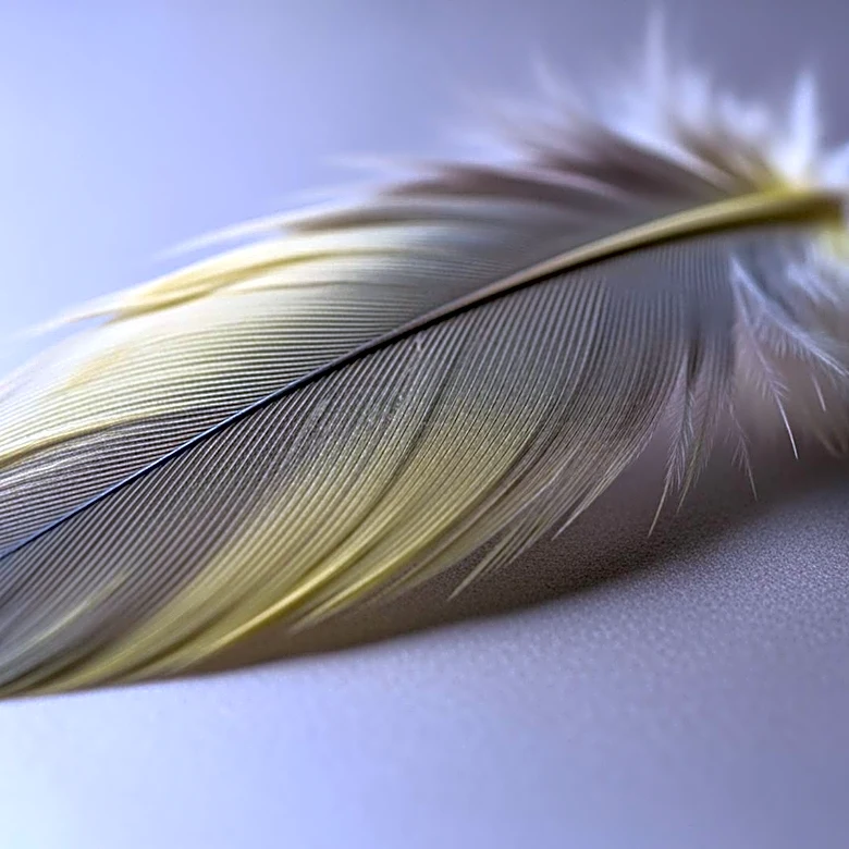 What Makes Cockatiels Stand Out From Other Parrots?