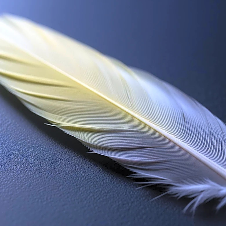 What Makes Cockatiel Colors So Diverse?
