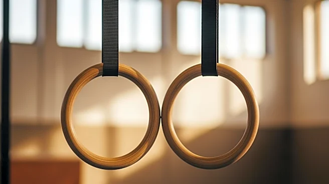 What Are Gymnastic Rings and How Are They Used?