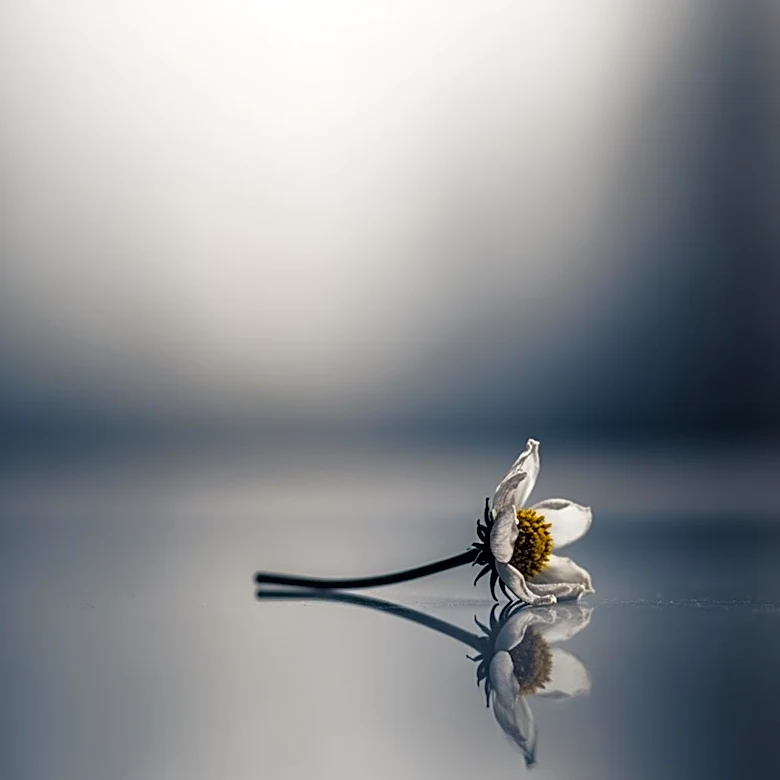 Why Validation Matters for People Mourning in Silence