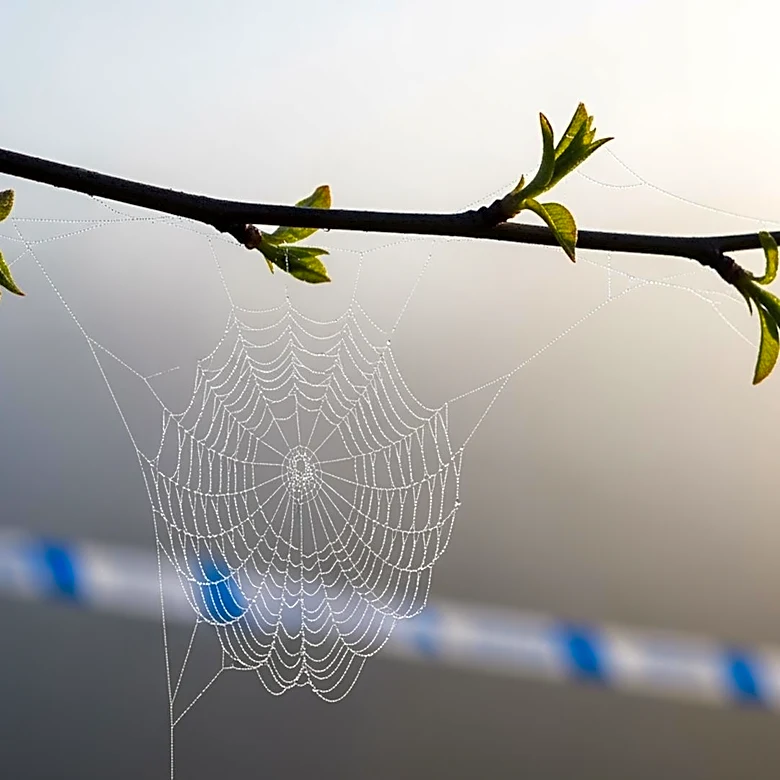 Why Knowing You’re Being Helped Can Sometimes Backfire