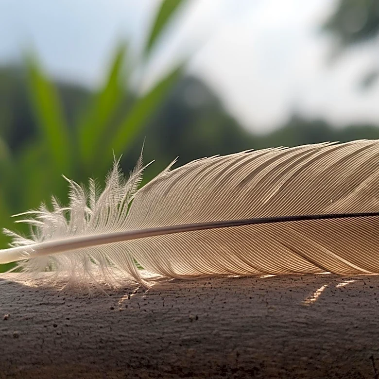 How Adaptation Shaped Finch Species