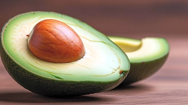 How Avocados Were Cultivated Over Time