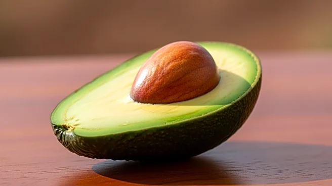 What Drives Global Demand for Avocados?