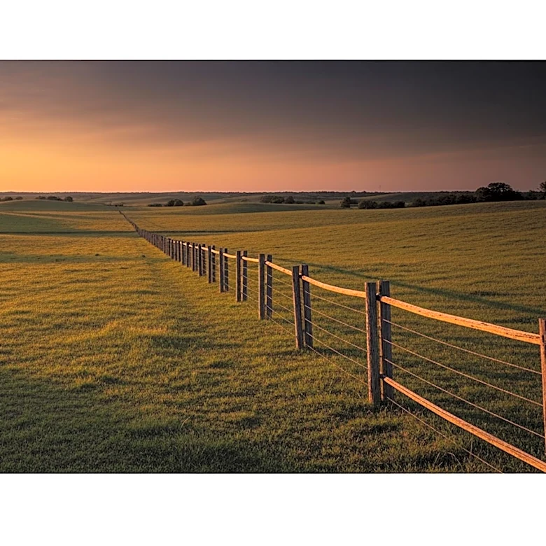 On This Day: Battle of Palmito Ranch Fought in May 1865