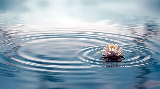 The Coping Strategy That Changes Emotion, Not the Stressor