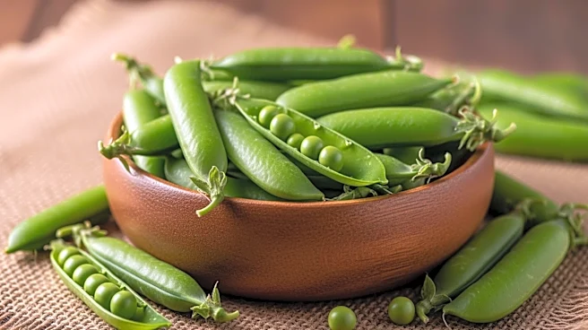 Why Fresh Green Peas Were Once an Elite Treat for European Wealthy