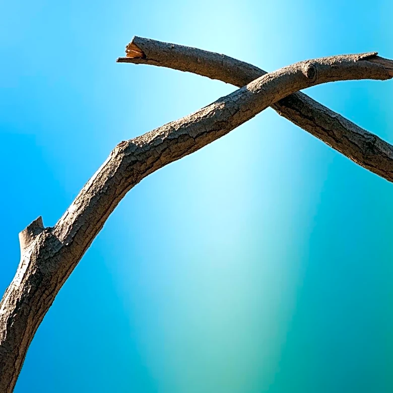 Why Advice and Empathy Both Matter for Mental Health