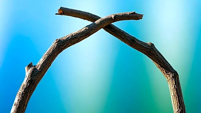Why Advice and Empathy Both Matter for Mental Health